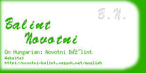 balint novotni business card